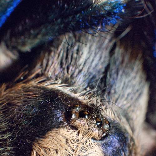 Photo #6979774