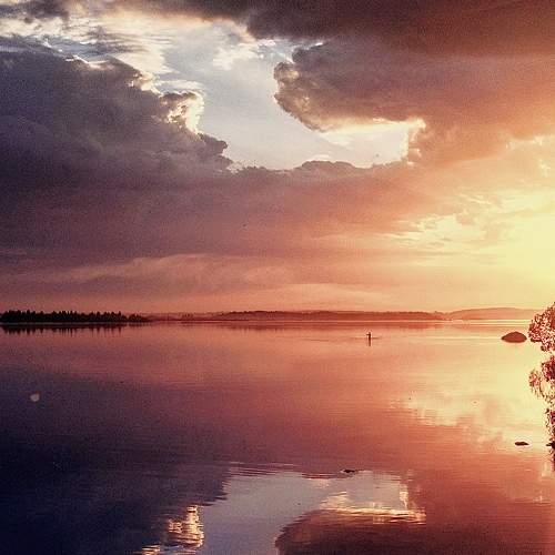 Photo #6979791