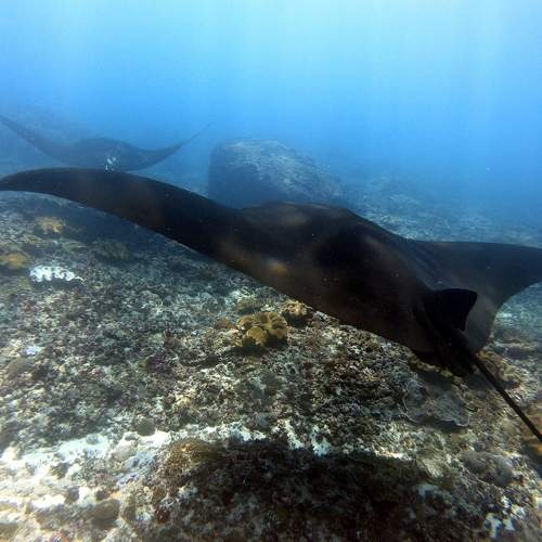 Photo #6980022