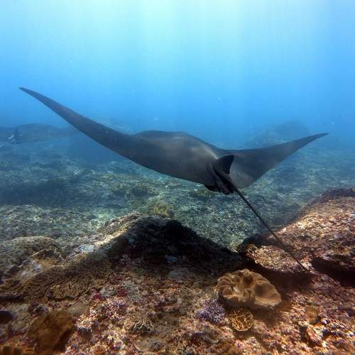 Photo #6980035