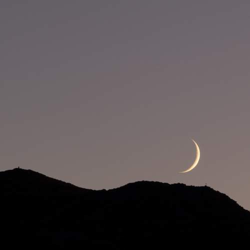 Photo #6980128