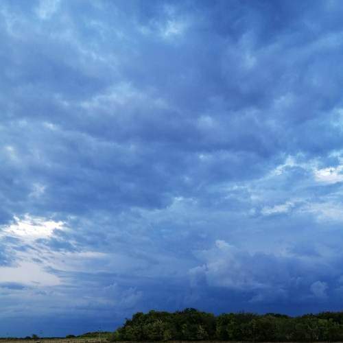 Photo #6980262