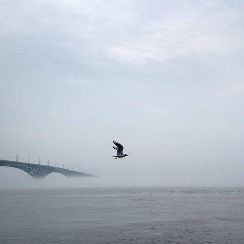 Photo #6980441