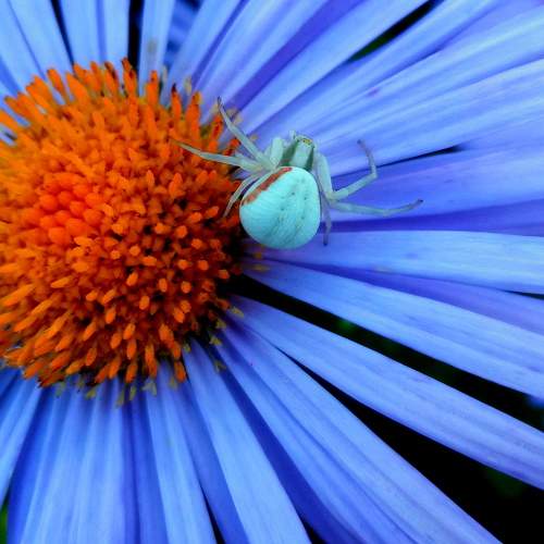 Photo #6980603