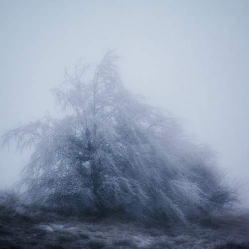 Photo #6980650