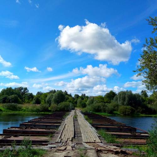 Photo #6980708