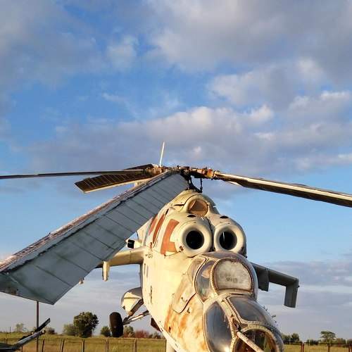 Photo #6981065