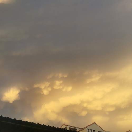 Photo #6981070
