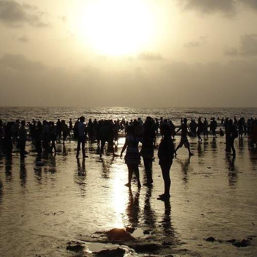 Photo #6981072
