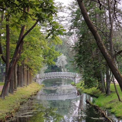 Photo #6981405