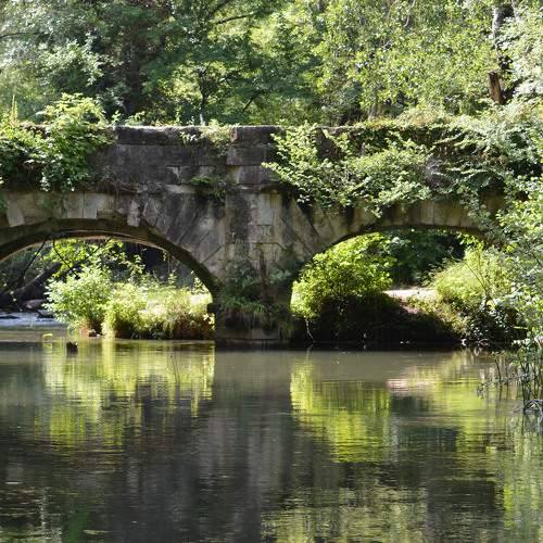 Photo #6981407