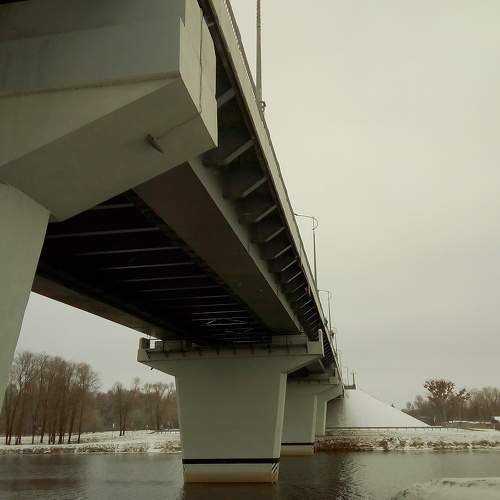 Photo #6981494