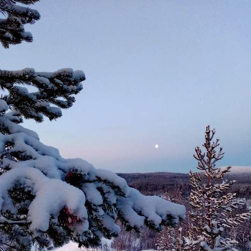 Photo #6981681