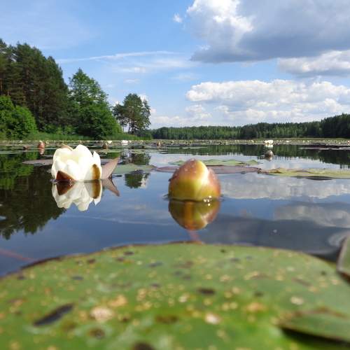Photo #6981709