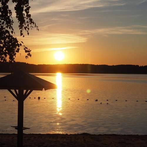 Photo #6981710
