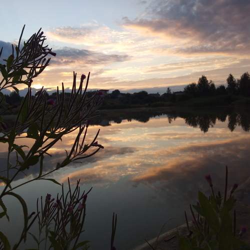 Photo #6981730