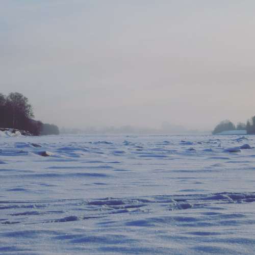Photo #6981823