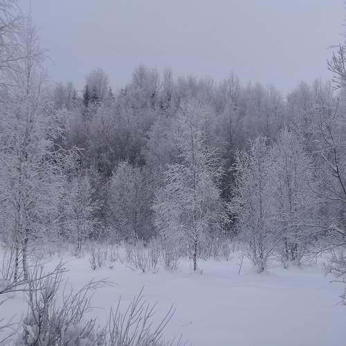 Photo #6981843