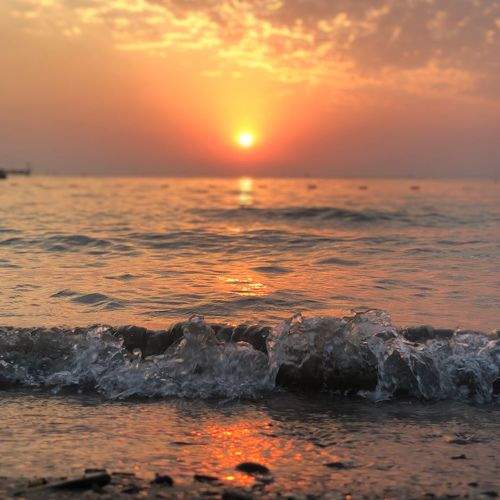 Photo #6982271