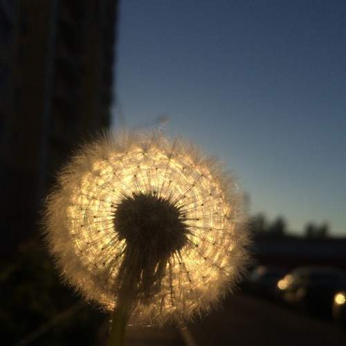 Photo #6982300