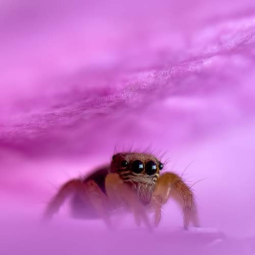 Photo #6982649