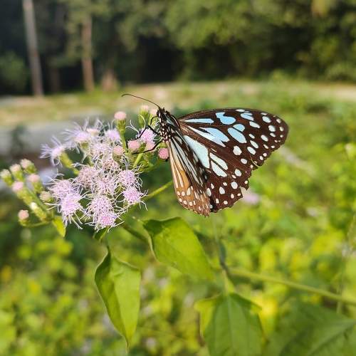 Photo #6982702