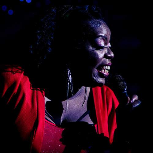 Photo #6982751