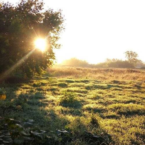 Photo #6982887