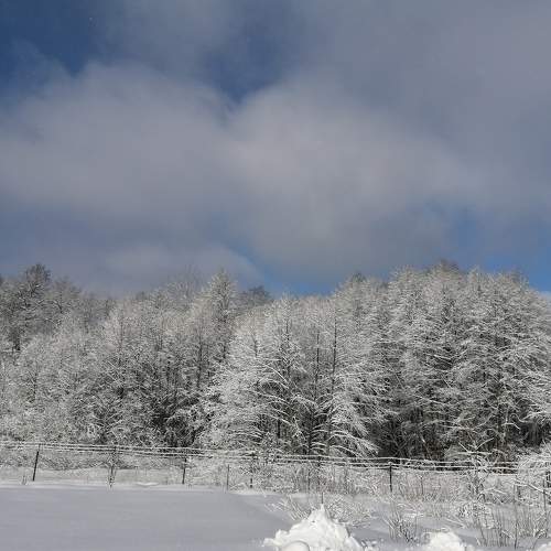 Photo #6982922