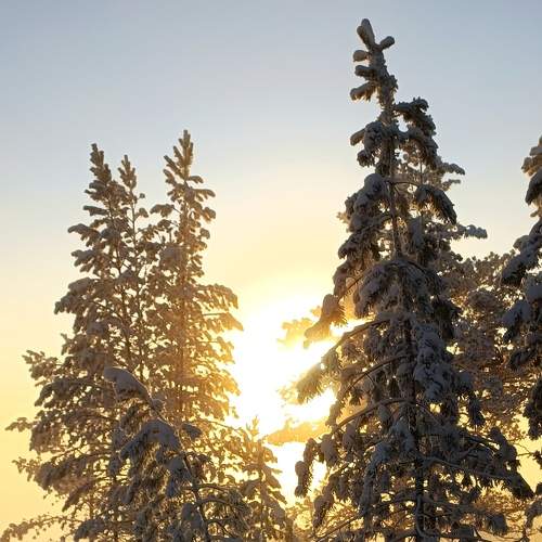 Photo #6982957