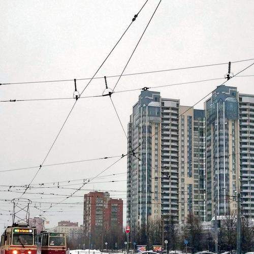 Photo #6983509