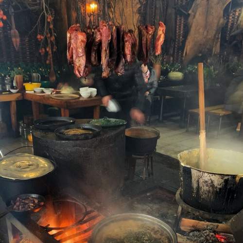 Photo #6983568