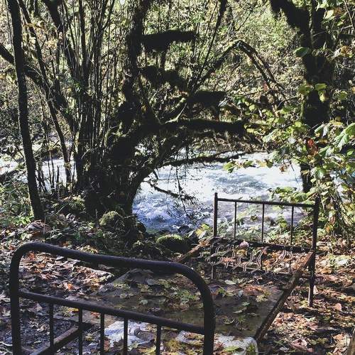 Photo #6983569