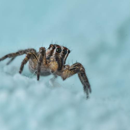 Photo #6983612