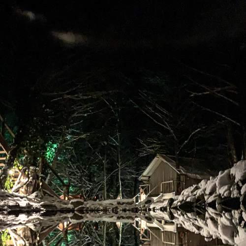 Photo #6983669
