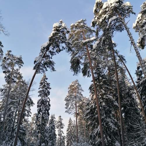 Photo #6983725