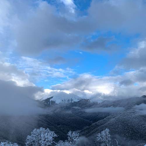 Photo #6983812
