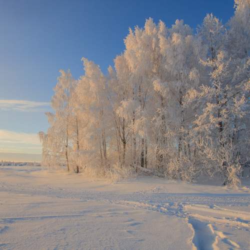 Photo #6983910