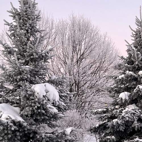 Photo #6984010