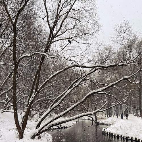 Photo #6984013