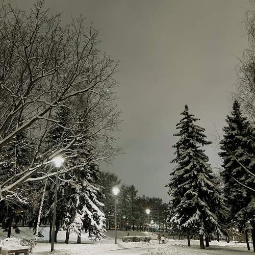 Photo #6984014