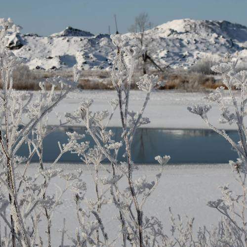 Photo #6984248