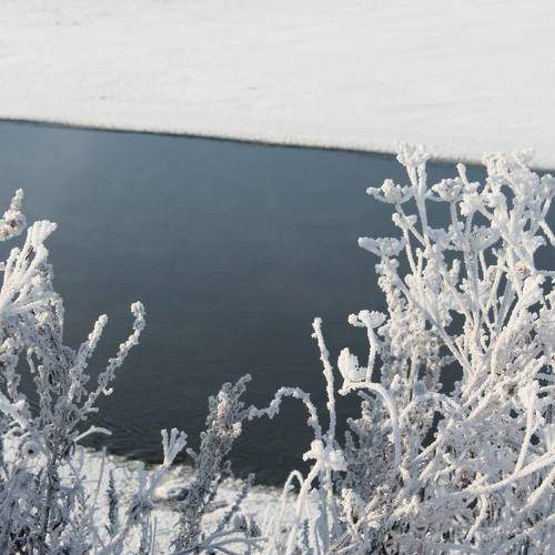 Photo #6984249