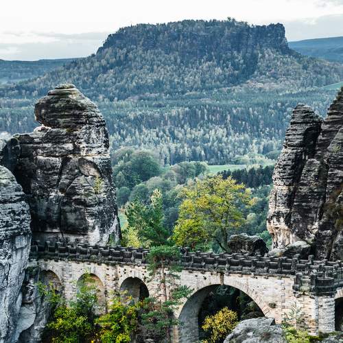 Photo #6984252