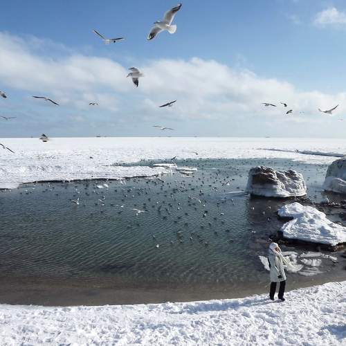 Photo #6984288