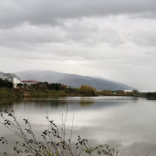 Photo #6984659