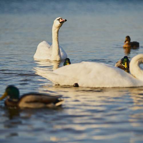 Фотография #6984676