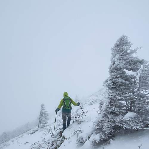 Photo #6985074