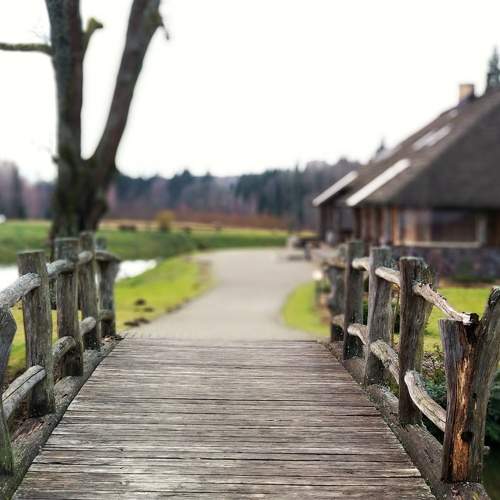Photo #6985158