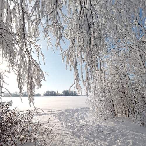 Photo #6985210